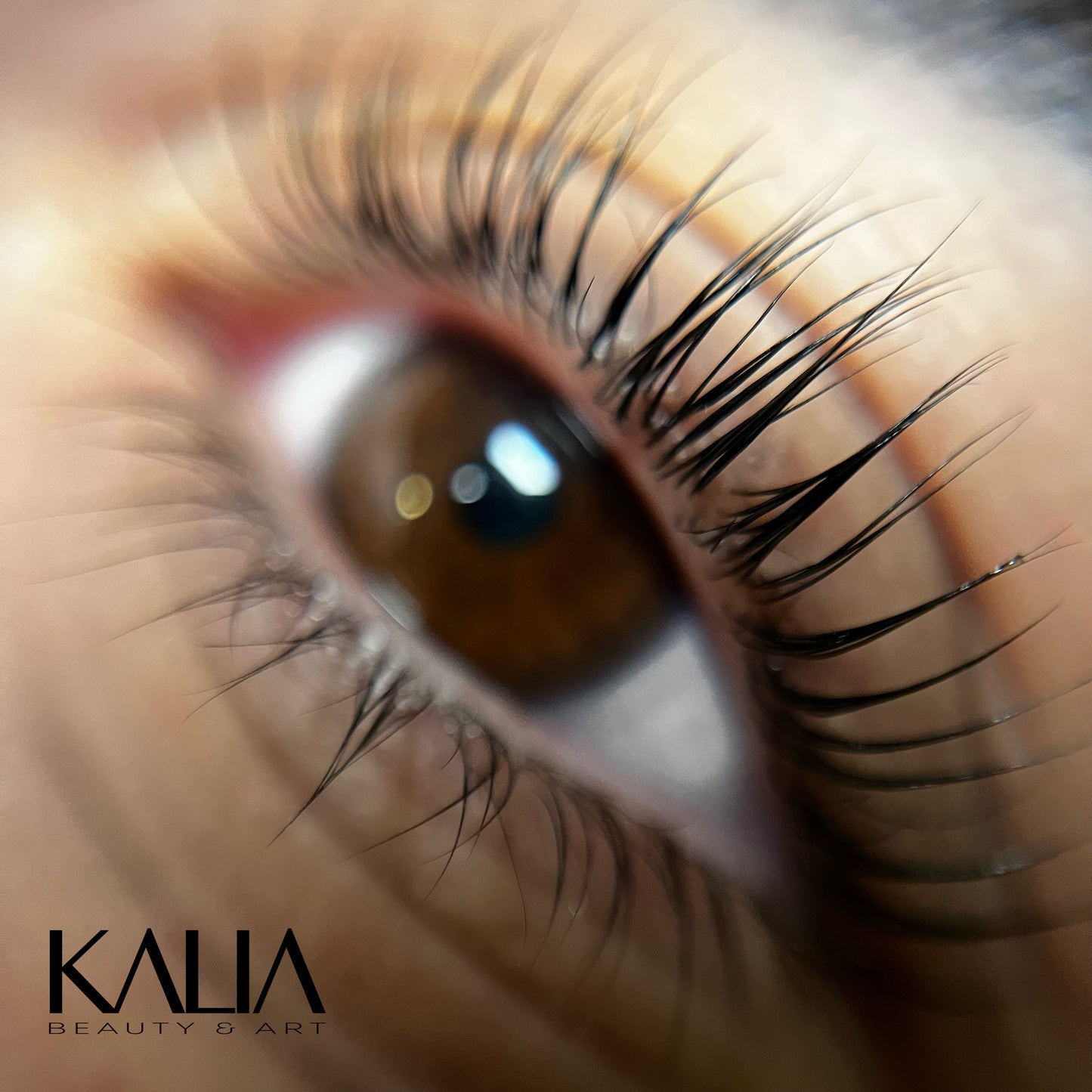 Lash & Brow Lifting Kurs - Kombikurs mit Zertifikat